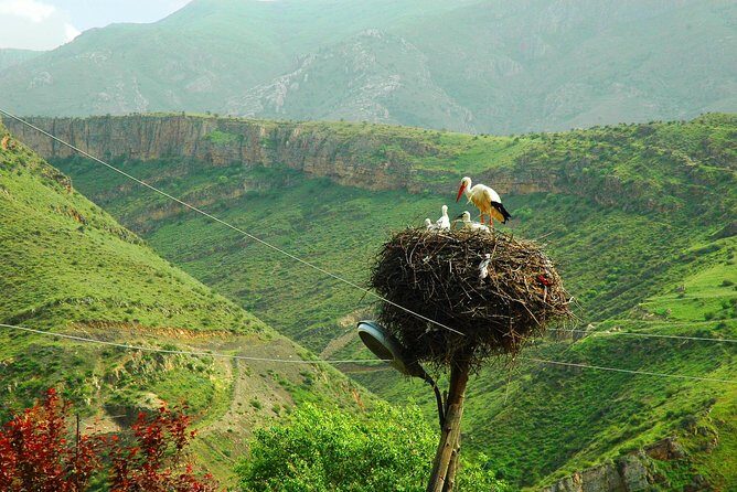The Great Beauty of Armenia: 7-Day Culture and Cuisine Tour - Swing bridge caves, Wings of Tatev, Shaqi waterfall, and Zorats Karer: day 4’s wild variety