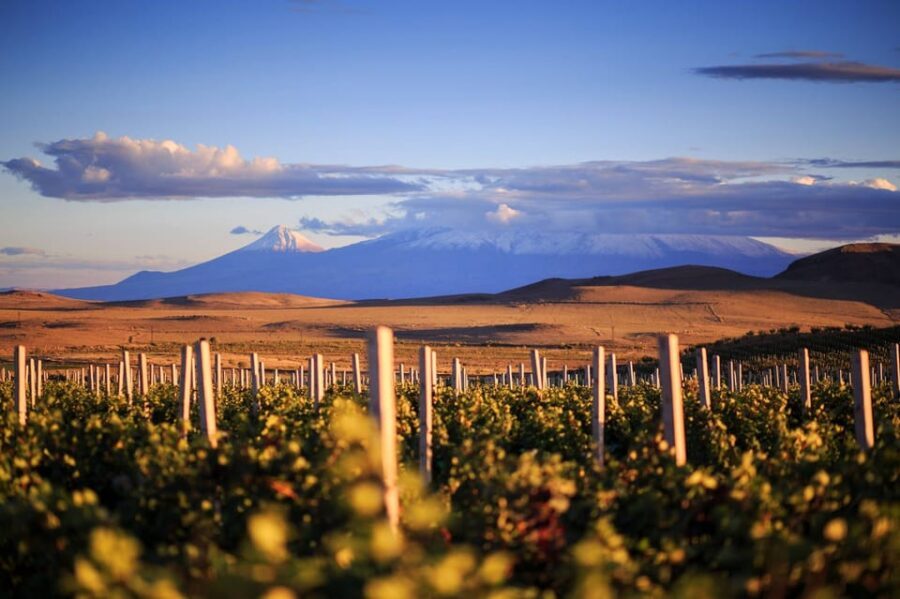 Yerevan: Khor Virap Day Trip with Mount Ararat Wine Tasting - Wine Tasting With Mount Ararat in View